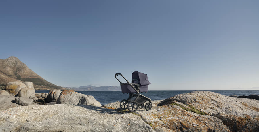 bugaboo fox 5 renew